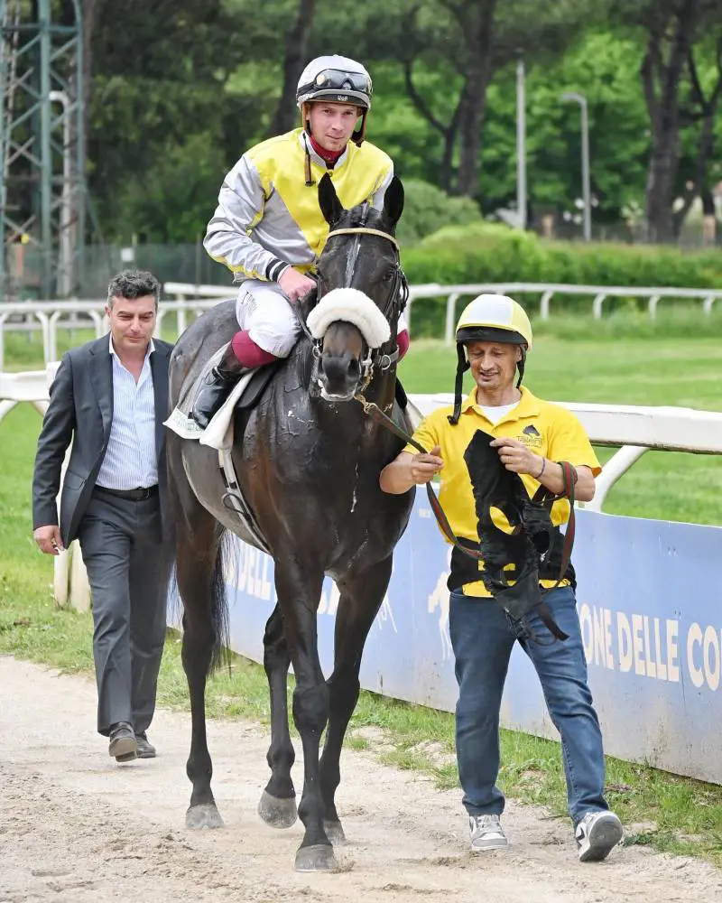 Goldenas al rientro dopo il In a Tiff (Rm) f.te Ippodromo capannelle