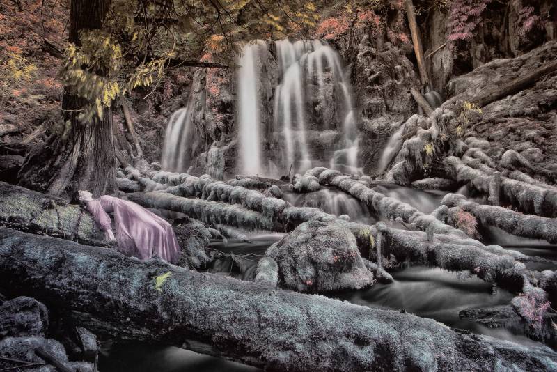 La Natura misteriosa di Patricia Dinu