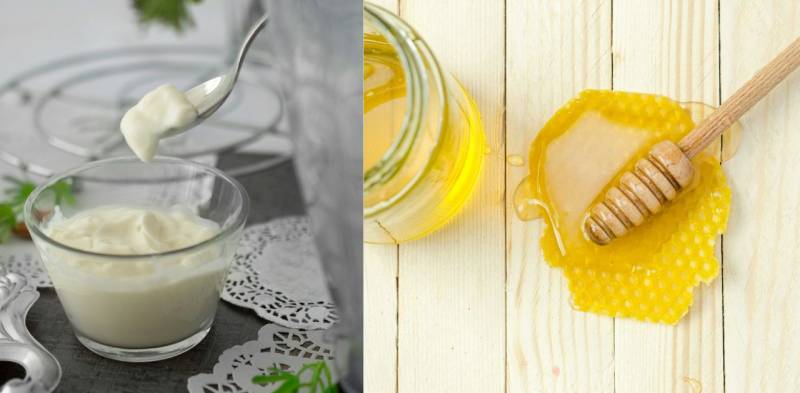 Yogurt e miele