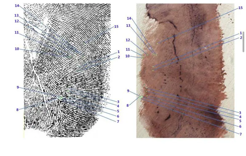 Garlasco, i Ris cercarono già nel 2007 il dna nell’impronta 33: “Campione inibito”