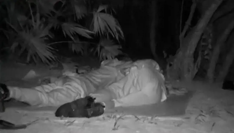 Momento hot a L'Isola dei Famosi: cosa è successo