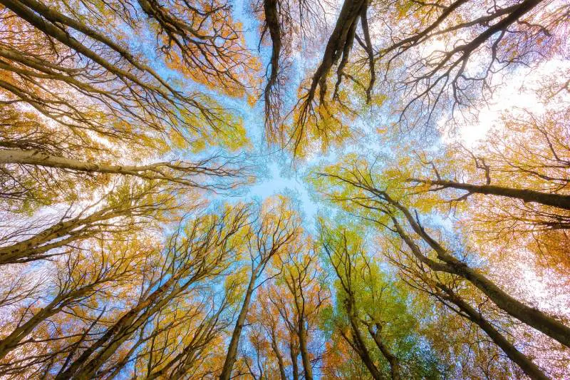 Ambiente d’Italia: informazione ambientale libera, basata su dati e fatti 