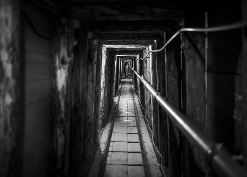Immagine gallery