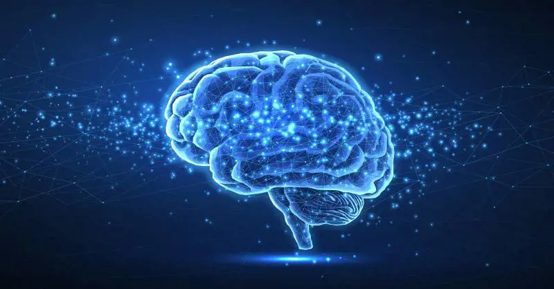 Il cervello "molle" aiuta a nascondere la cruda verità del diventare vecchi