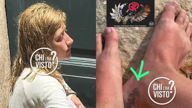 Chi l'ha visto?