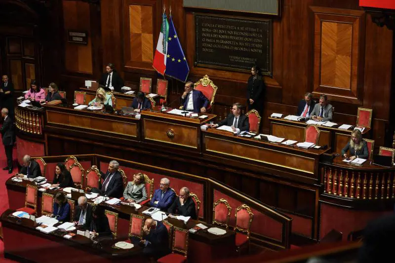 La frase della senatrice M5S sulla Meloni scatena il pandemonio in Aula
