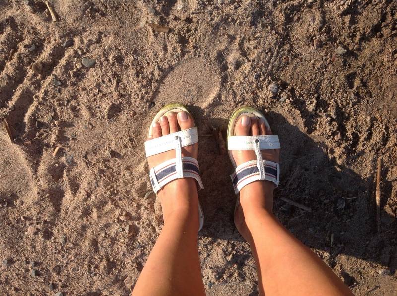 mules
