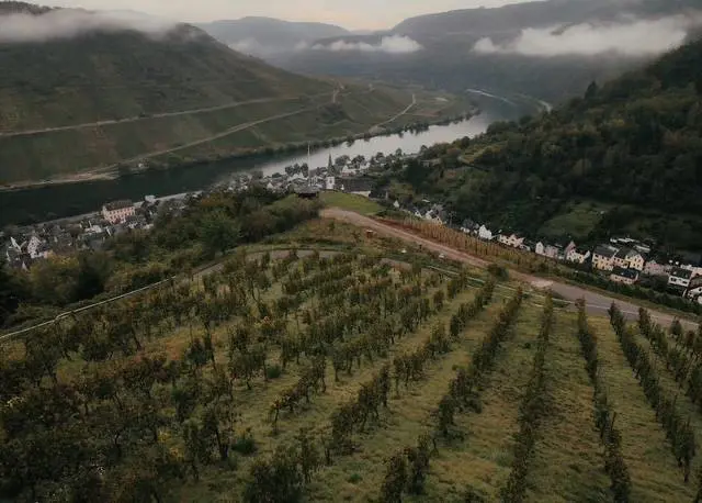Nicola Biasi in Mosella: il Riesling innovativo