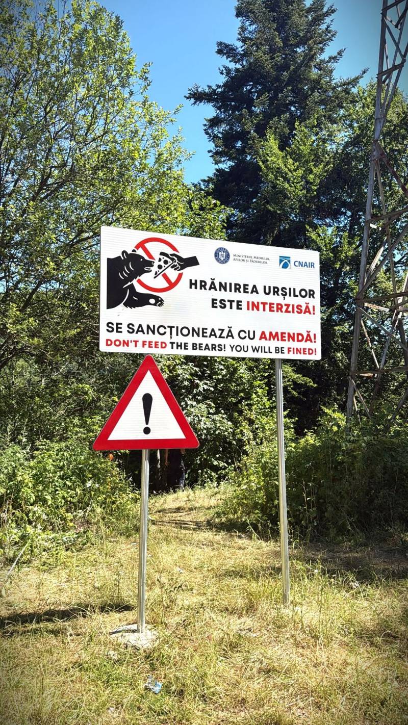 Motociclista italiano trascinato nel bosco e ucciso da un orso in Romania: cosa è successo