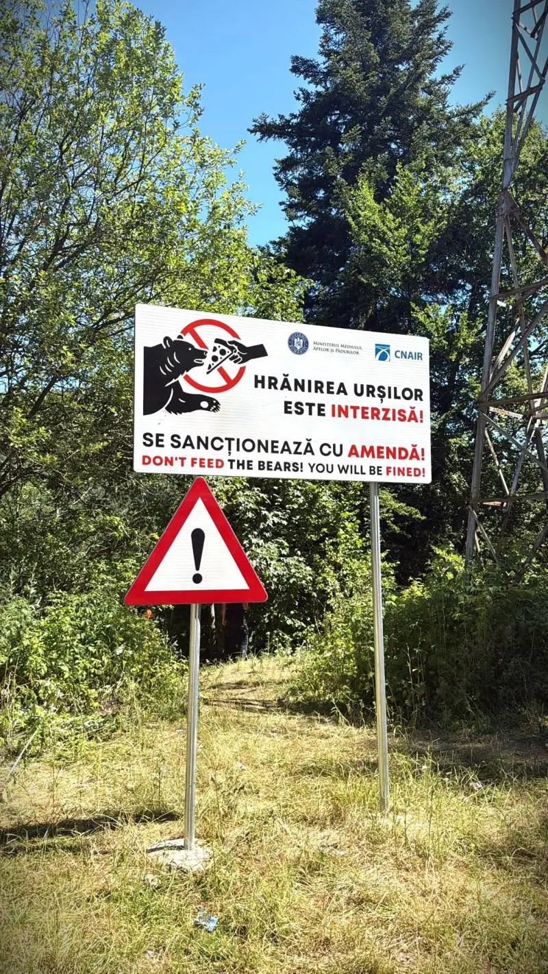 Motociclista italiano trascinato nel bosco e ucciso da un orso in Romania: cosa è successo
