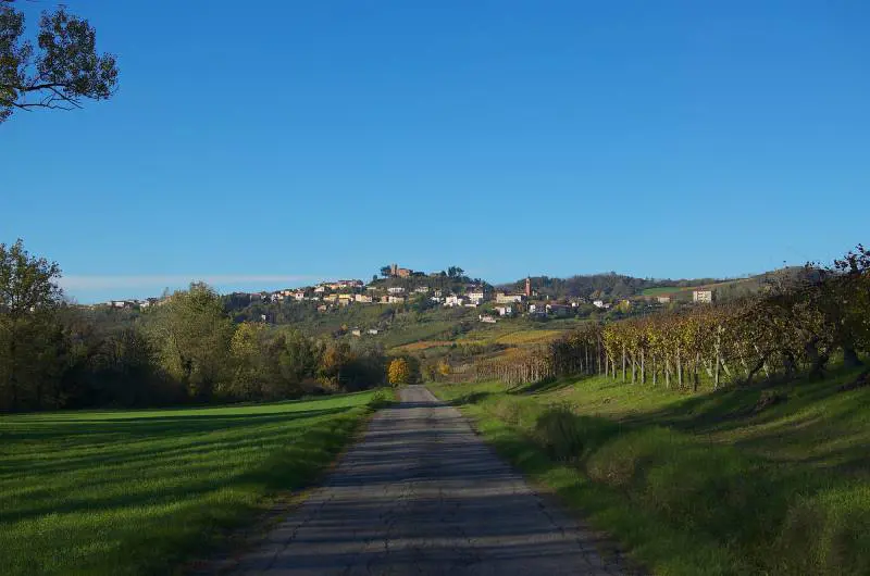 Un reality olandese fa diventare l'Oltrepò paese del Bengodi