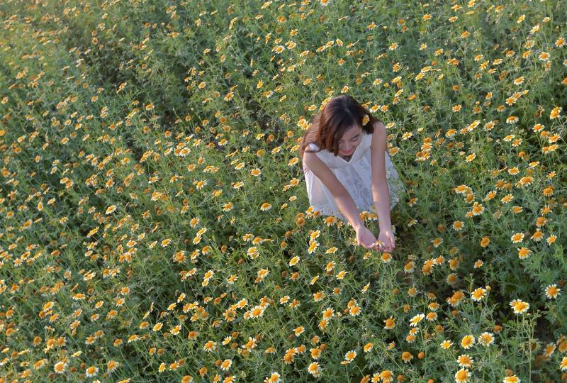 Abbiamo dimenticato il piacere della noia: 7 attività lente che riconnettono con sé stessi