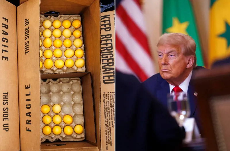 "Li porto in tribunale". Scatta la guerra delle uova tra Trump e la California