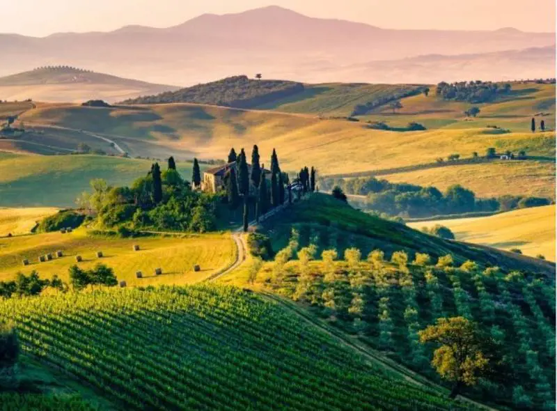 Turismo enogastronomico: un business in cerca di professionisti