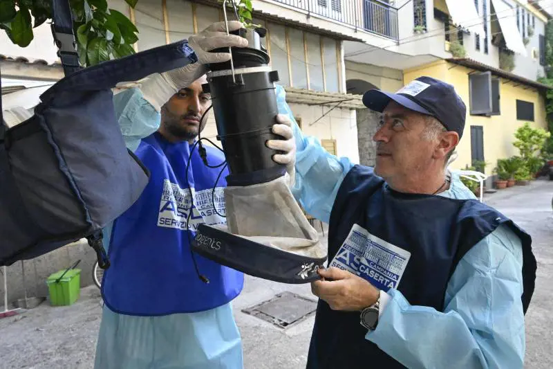 Morti per il virus del Nilo. Le vittime salgono a tre