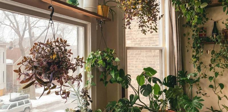 Area green domestica