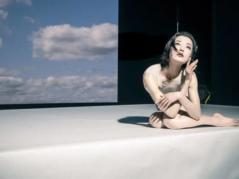 Immagine gallery