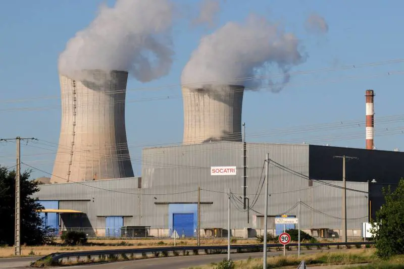 Invasione di meduse, allarme nella mega centrale nucleare francese: cosa è successo