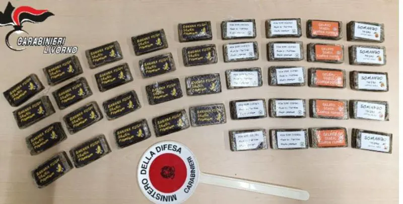 Nascosti in una borsa frigo 4 chili di hashish: due 20enni arrestati a Portoferraio