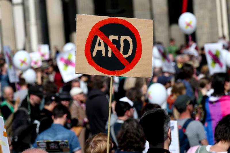 Manifestazione anti AFD