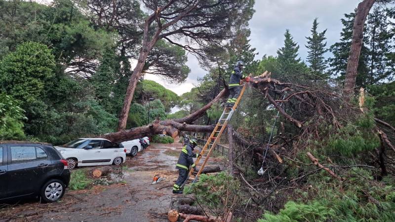 Pioggia, alberi caduti e venti a 130 all'ora. Romagna sotto choc: "Come un uragano"
