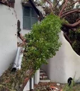 La casa di Sacchi