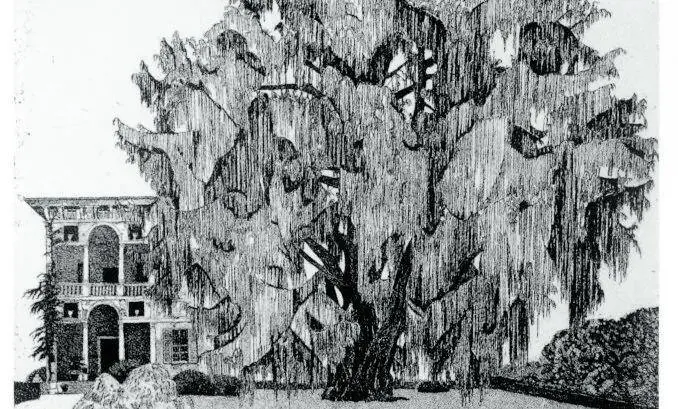 Sono interattivi i teleri di Federica Galli, la "Signora degli alberi"