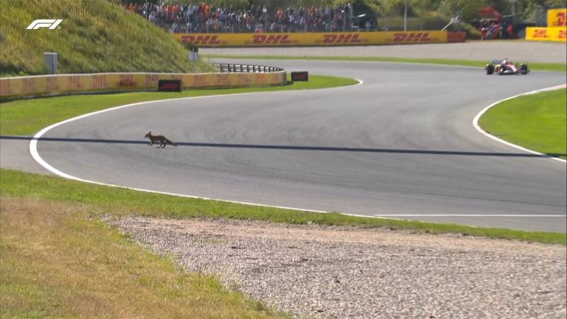 F1 Olanda Q2 volpe in pista