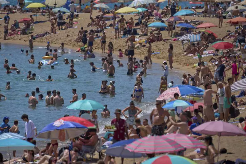 Overdose da vitamina D alle Baleari, 16 persone all'ospedale. Quali sono i rischi 