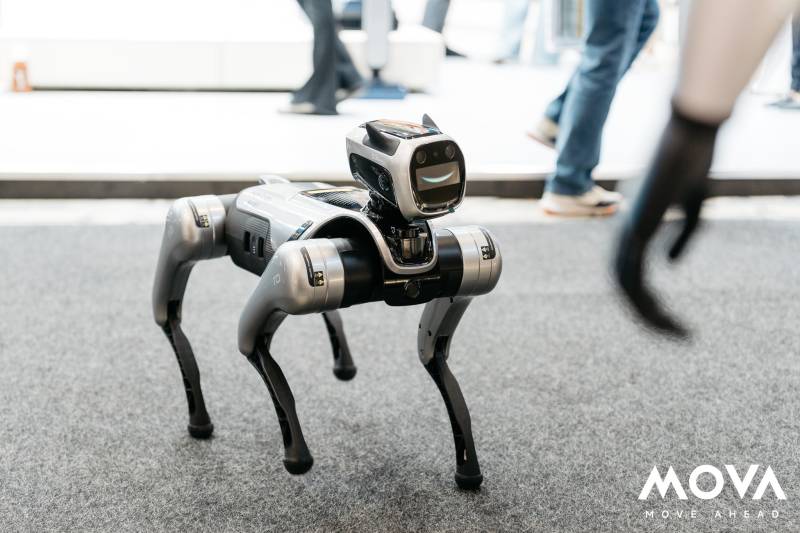 Mova cane robot