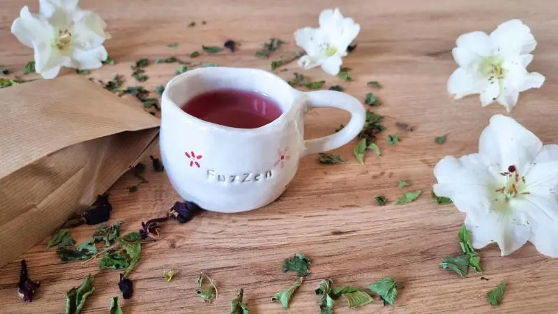 Tisane, quali bere in caso di gonfiore, cistite o insonnia: ecco le più curative