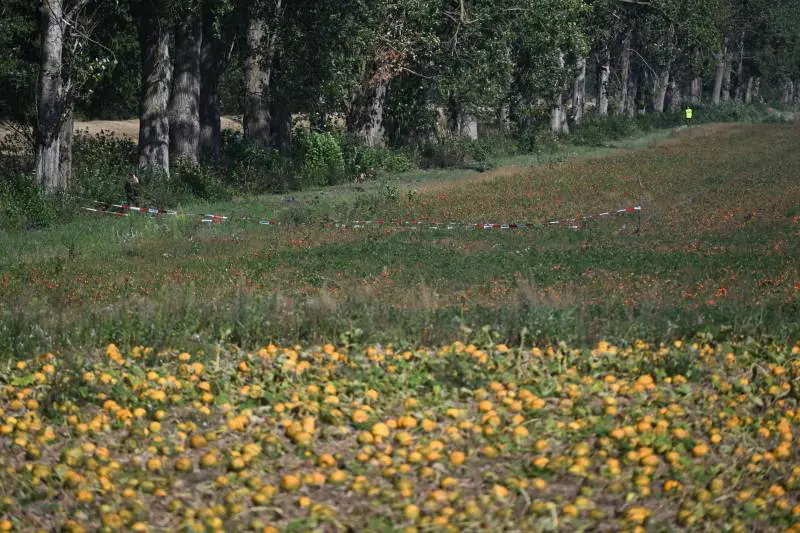 Immagine gallery