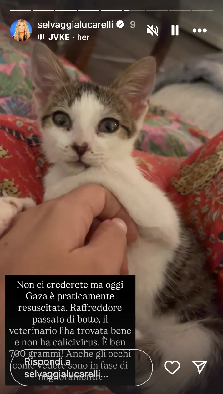 Screen storia Instagram di Selvaggia Lucarelli