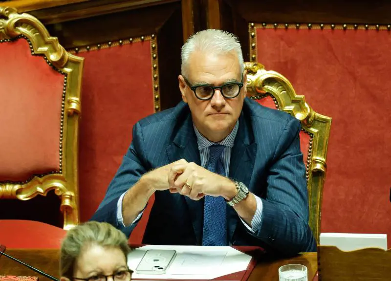 "Quella senatrice ha indicato un obiettivo. Più che l'aula il suo posto è un centro sociale"