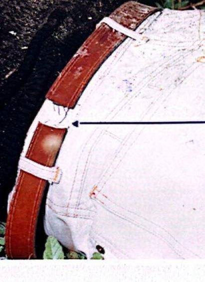 Pantaloni 1