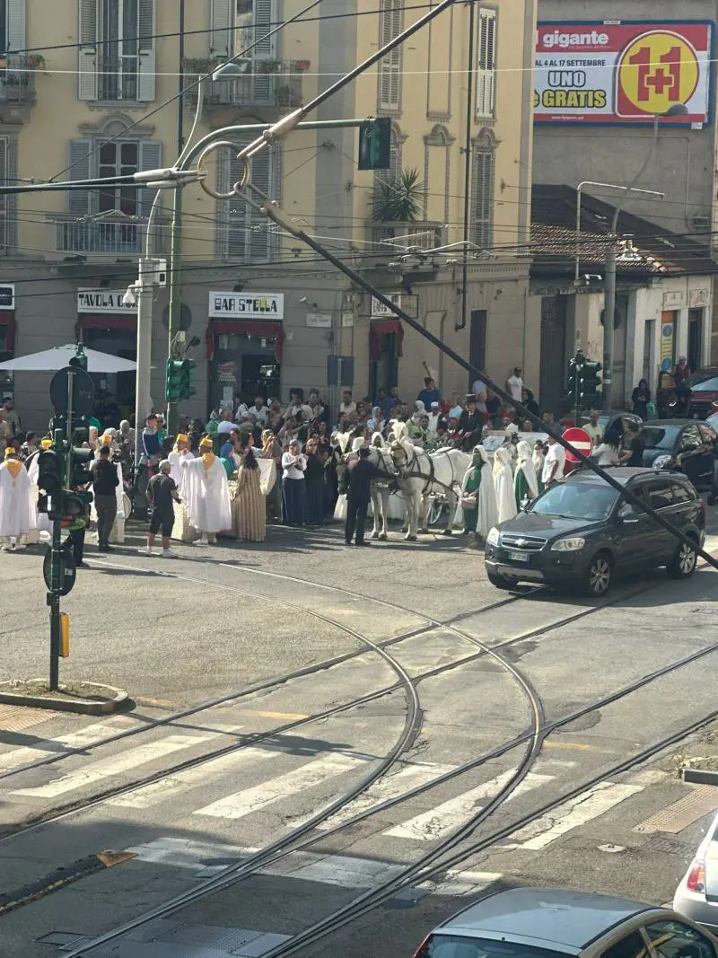 Cavalli e carrozza bianchi per il matrimonio straniero, strada bloccata: scoppia il caso a Torino
