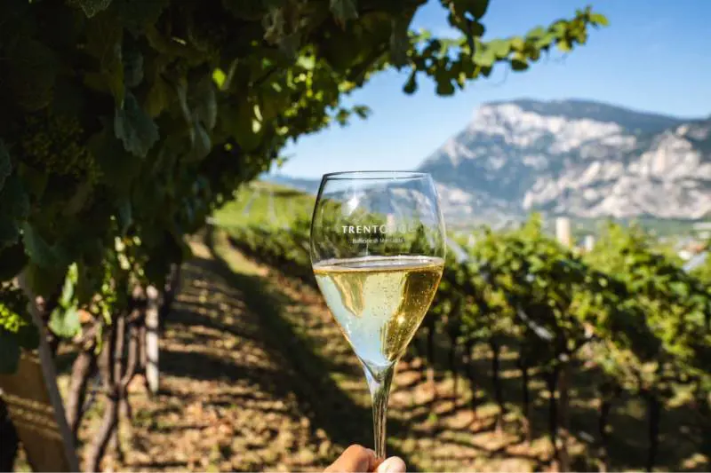 Trentodoc, tre giorni di bollicine di montagna