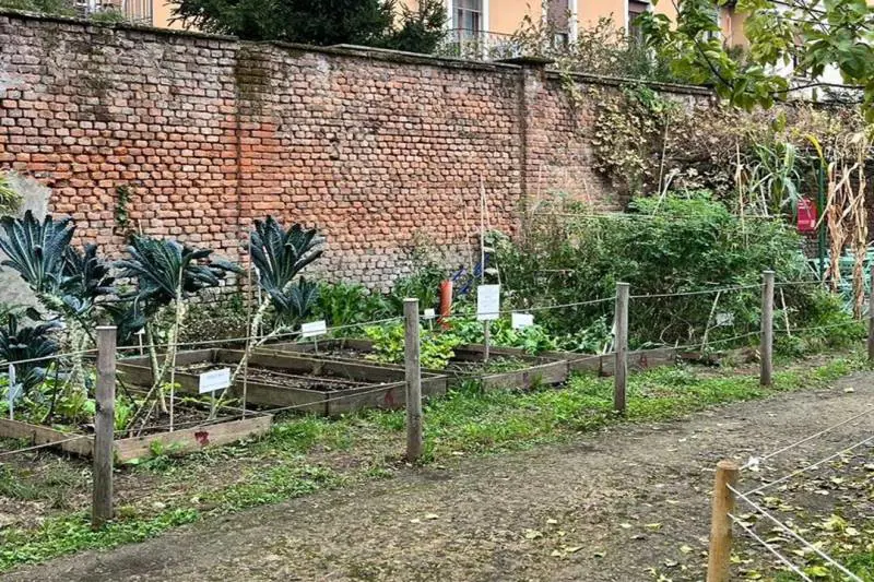 Domenica 28 le fattorie lombarde aprono le porte per accogliere famiglie, scuole e visitatori