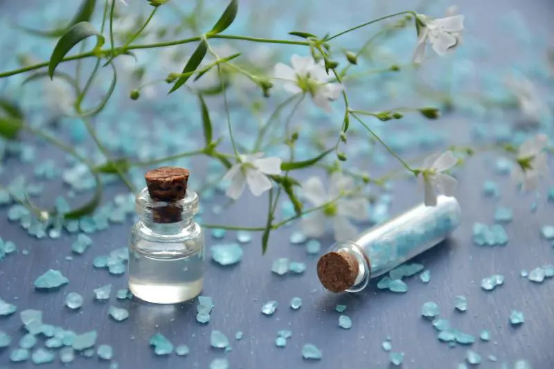Profumi autunno 2025: le fragranze più raffinate per lei (che lasciano la scia)