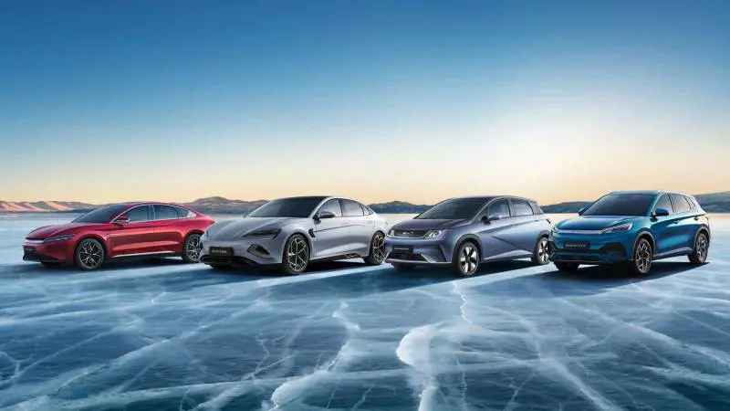 Tutti i numeri di Byd: quanto corre in Italia