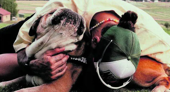 Roscoe non ce l'ha fatta, il dolore di Hamilton. "Farlo addormentare la scelta più difficile"