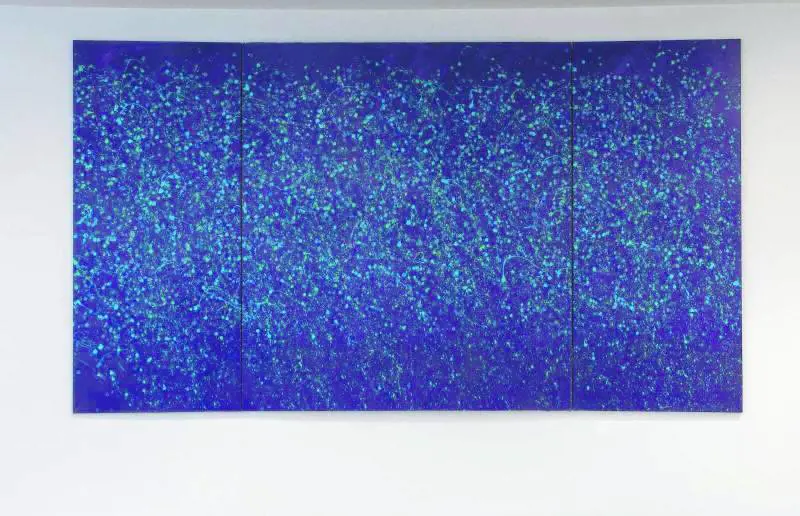 Bag: l'arte contemporanea alla Bocconi