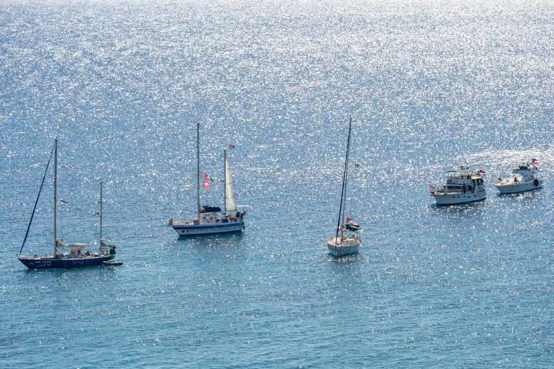 Arrestati ed espulsi. Tajani: "Cosa succede agli italiani sulla Flotilla"