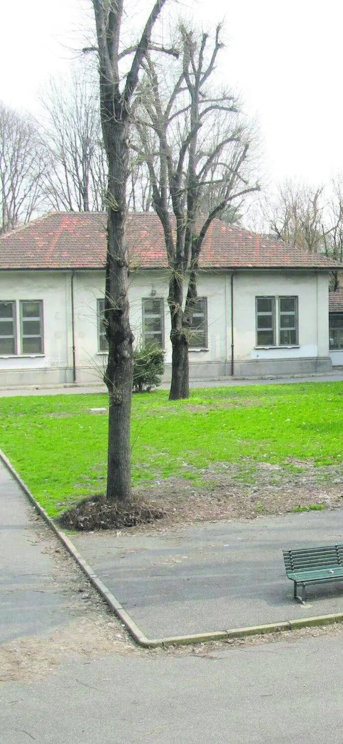 Liceo Bottoni, prima ora tutti fuori con preside e prof per parlare di Gaza