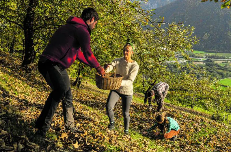 PIC-NIC URBANO. Si possono riempire i cestini di prodotti per gustarli nei giardini
