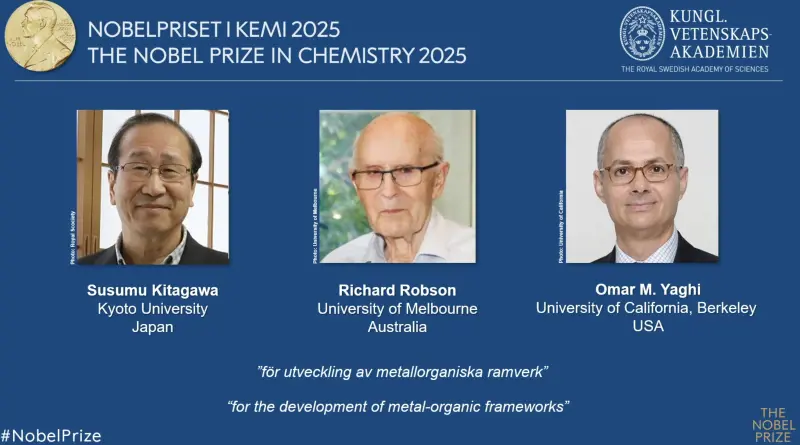 Nobel per la Chimica a Kitagawa, Robson e Yaghi: hanno sviluppato strutture metallo-organiche