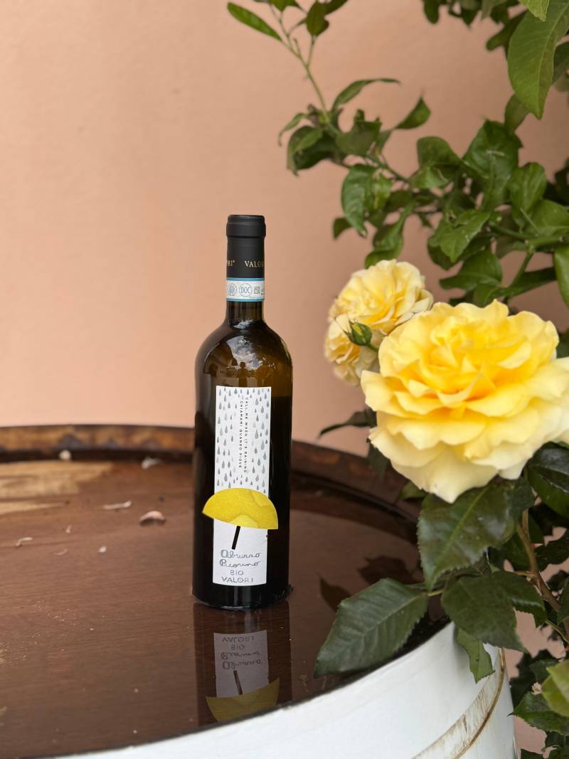 Chiamami Quando Piove, Abruzzo Pecorino DOC Biologico