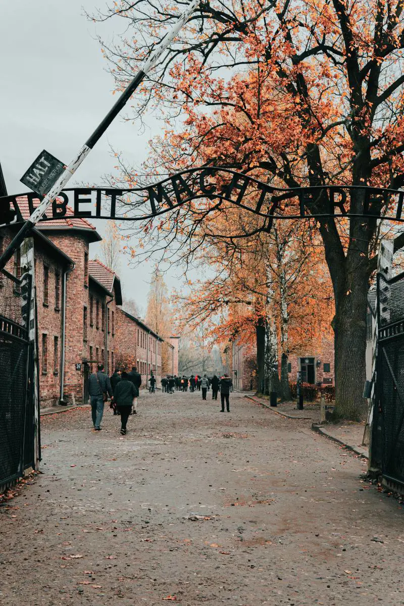 Quelle "gite" usate come anestetico e il nuovo veleno dell'antisemitismo