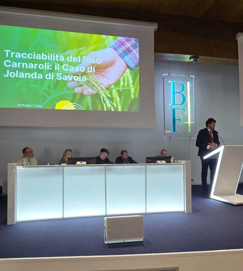 UniBo e BF Educational: conferimento del diploma di Master universitario agli studenti della seconda edizione