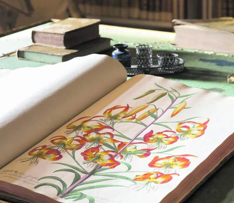 Fra manoscritti e incunaboli mostra di libri antichi e rari